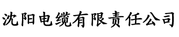 A版红楼梦正片电缆厂logo